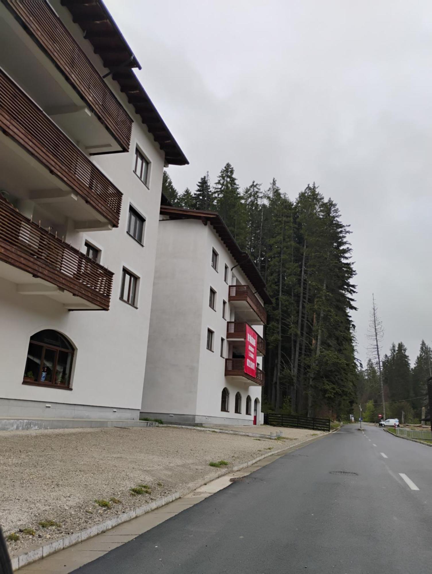 Forest Oasis Studio - Free Netflix And Disney Plus Predeal Eksteriør billede